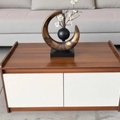 Table centrale 2